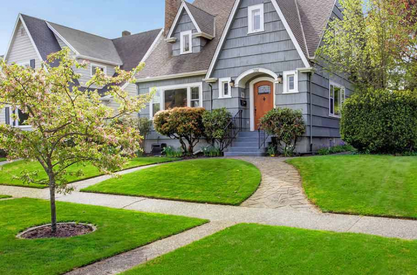 3 Things You Should Add to Your Yard Cleanup List