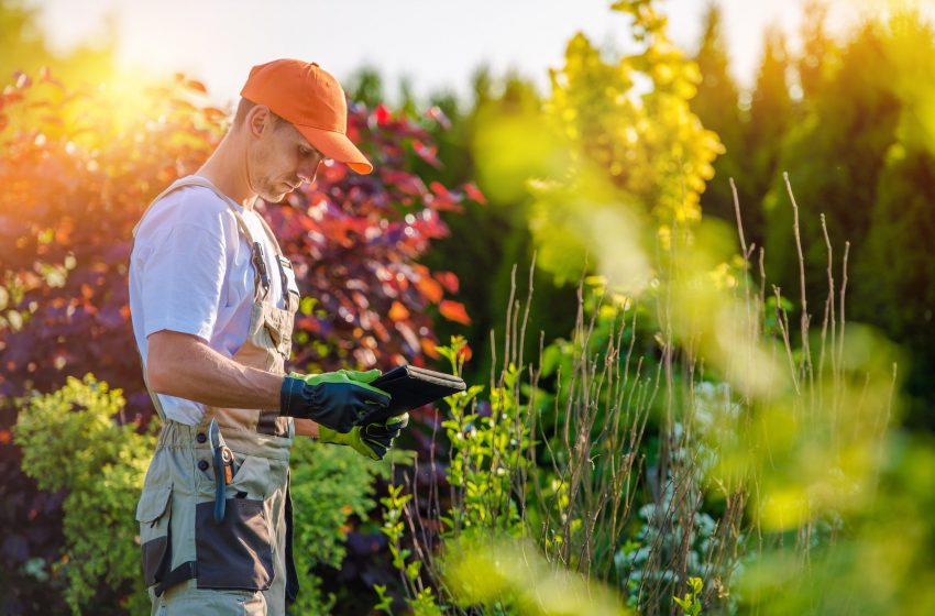  Why It’s Smart To Hire Professional Landscapers