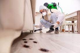  How to Deal with a Pest Infestation During a House Flip
