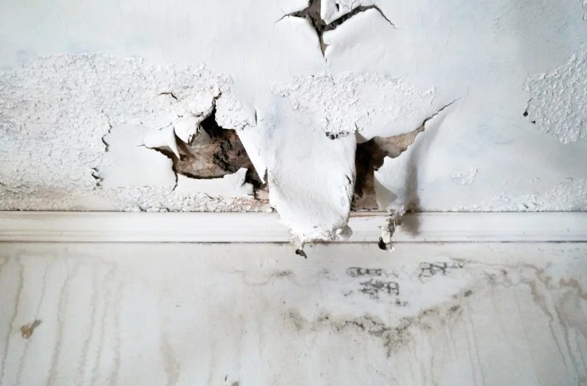  5 Tips To Understanding the Need for Wet Drywall Replacement