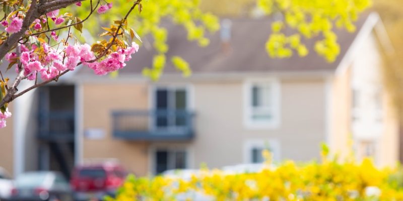 Seasonal Shifts Impact Home Selling in Brantford